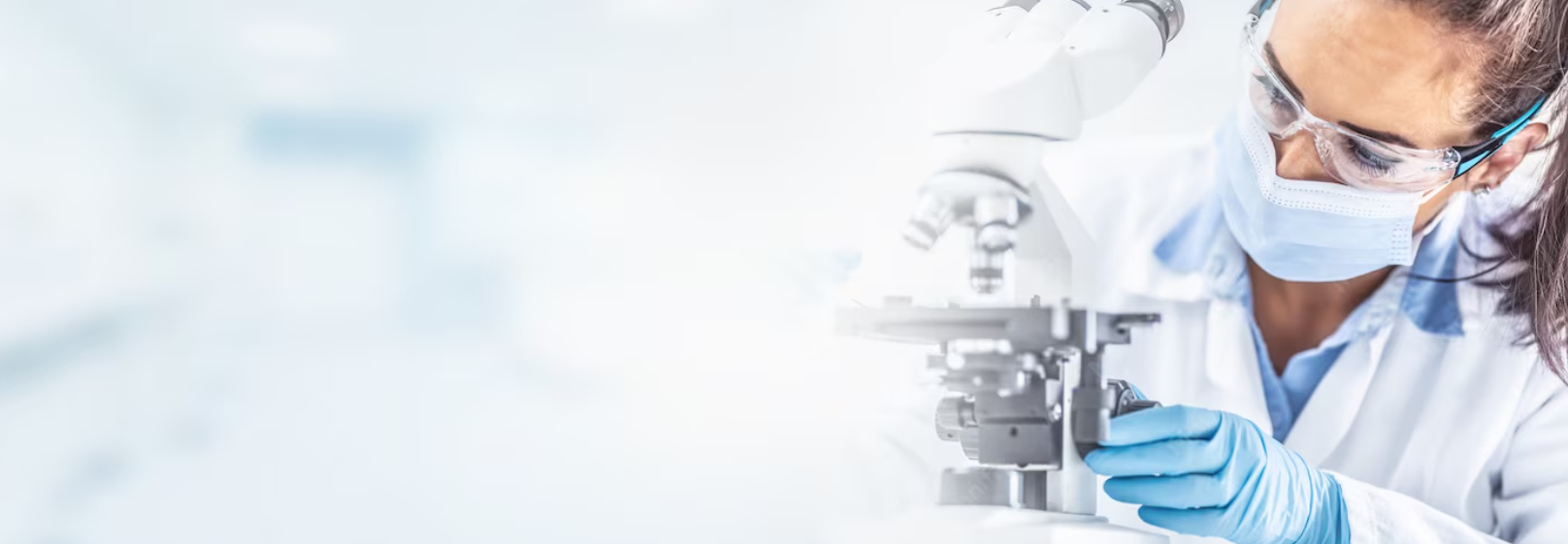 Banner 2